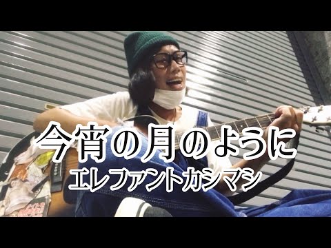 今宵の月のように / エレファントカシマシ 【cover by 和泉隆宏】