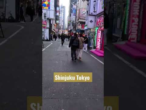 Walking at Shinjuku Tokyo 🗼 #tokyowalk #4kvideo #4ktour #japanlife #japan