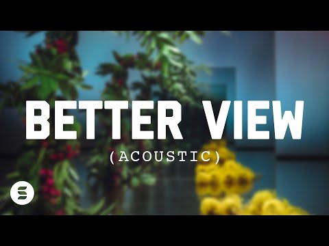 Better View (Acoustic) | Official Lyric Video