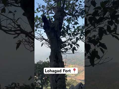 Lohagad Fort Pune . Must visiting place near pune 😊#lohagadfort #Fort #fortinpune #pune #treding