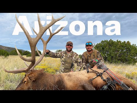 An ARIZONA ELK HUNT {Catch Clean Cook} Ben Sandall's ARCHERY Bull