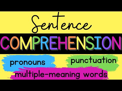 Sentence Comprehension: Pronouns, Multiple-meaning Words, Punctuation