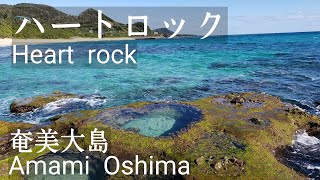 I found a heart rock on Amami Oshima.