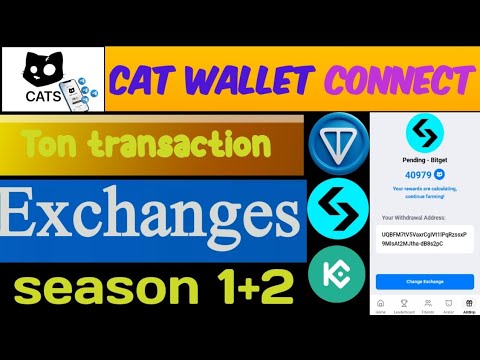 How tO connect cat wallet| Connect wallet|bitget wallet in cat| All exchanges