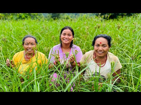 Dashai aaunu vanda agadi dasa aayo..kam sakine din kaile ni aayan😊#siruthapamagar#villagelife#vlog