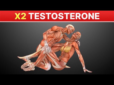 Increase TESTOSTERONE Naturally Just in 2 Weeks! | How to Increase Testosterone