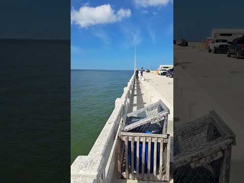 Fishing the sunshine skyway, pier.#cruisingbrandijo #shorts trawlerlife