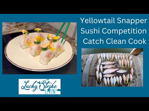 Yellowtail Snapper Sushi Competition Catch Clean Cook!! Please vote!!