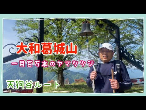 「大和葛城山」一目百万本のヤマツツジ✨天狗谷ルート