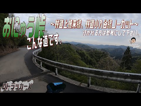 【DトラッカーX #123】おにゅう峠はこんな道です。林道上根来線/林道小入谷線全線ノーカット。おにゅう峠に行かれる方は参考に見てください。20分で駆け抜けてきました【滋賀】【福井】【ツーリング】