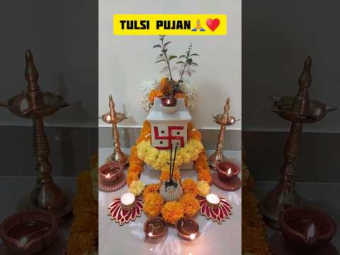 Tulsi Pujan 🙏#viral #ytshorts #youtubeshorts #shortsvideo #youtube #tulsi #tulsivivahspecial