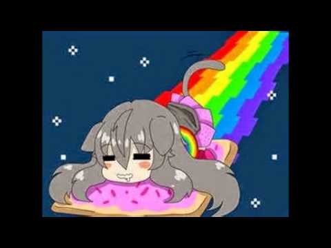 Nyan Cat Song xD :3