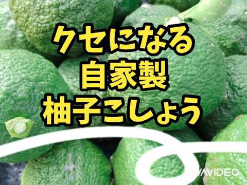 #柚子こしょう#自家製【クセになる自家製柚子こしょう】