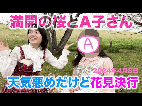 【お花見2024】満開間近の桜の下で、A子さんとお茶会をしました。【４月８日】