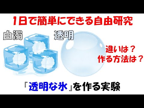 【自由研究】1日で簡単にできる!!透明な氷を作る実験。小中学生にオススメ。【光】【反射】