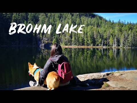 Brohm Lake Trail - Dog Friendly Hike near Squamish BC (Cinematic)