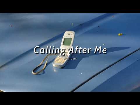 Vietsub | Calling After Me - Wallows | Lyrics Video