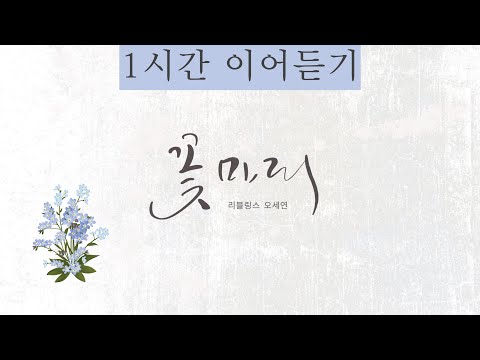 [1시간이어듣기] 꽃마리 | 오세연