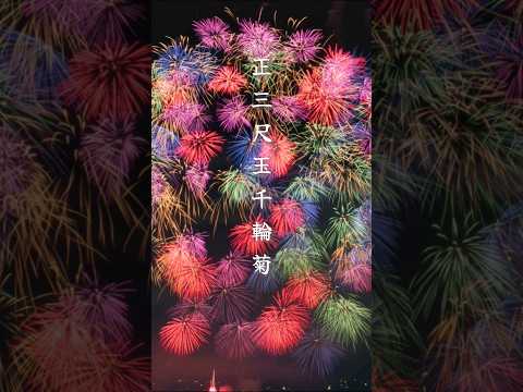 長岡花火。圧巻！！「正三尺玉千輪菊」新潟県長岡市 #shorts #花火大会 #fireworks