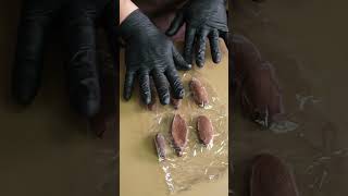 Taiyaki chocolate and cherry blossoms bean paste 桜あんのたい焼きショコラ #shorts #asmr #cooking