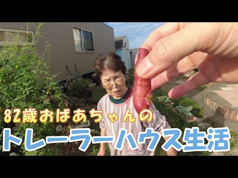 【トレーラーハウス生活】サツマイモを食す　#367