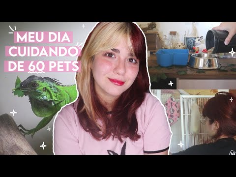 minha ROTINA MATINAL com 60 PETS (sim eu faço isso todos os dias)