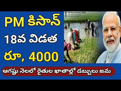 pm kisan 18th installment date 2024 |pm kisan 18th installment date 2024 telugu@ConnectingChandra