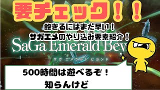 実はやり込み要素が満載！？本格的に楽しむなら知っておくべきエンドコンテンツ紹介！！【サガエメラルドビヨンド】