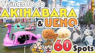 Things to do in Akihabara and Ueno Tokyo / Japan Travel Update 2024