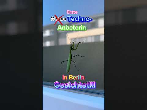 Erste Techno Anbeterin in Berlin gesichtet.