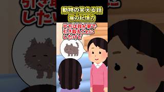 【2ch動物スレ】猫の記憶力