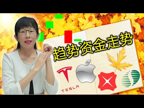 TSLA, AAPL, DBS, SQQQ, Sembcorp Marine, 资金趋势