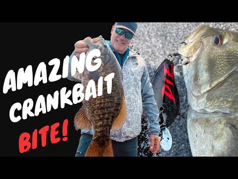 Best Crankbait Bite Ever!