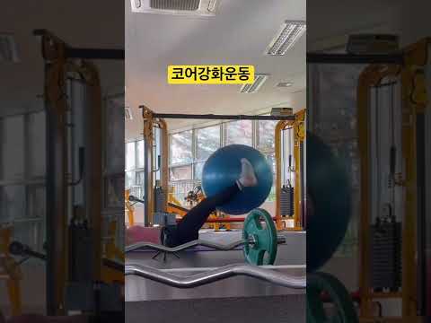 짐볼 뱃살 전신 코어강화운동