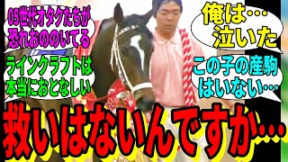 【競馬の反応集】「ラインクラフトってどんな馬なのか調べよ！」に対する視聴者の反応集