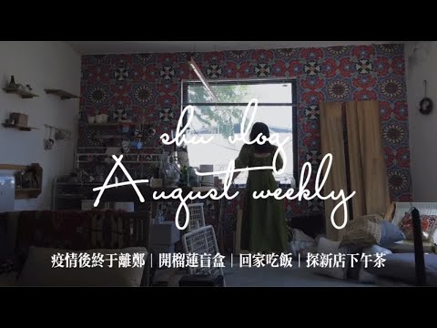 shuvlog weekly 8月three｜郑州疫情离郑证明 终于回家了|第一次开整个榴莲｜每日咖啡｜探新面包店和闺蜜下午茶｜回家吃饭泡馍 烙馍卷菜薄荷奶酪