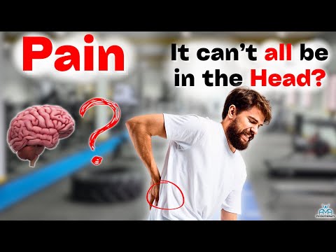 Chronic Pain Explained:  Why Things Hurt!