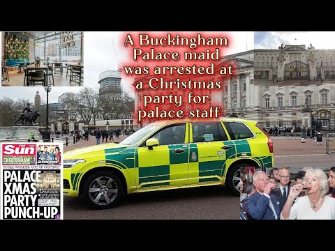 A Buckingham Palace maid was arrested at a Christmas party for palace staff