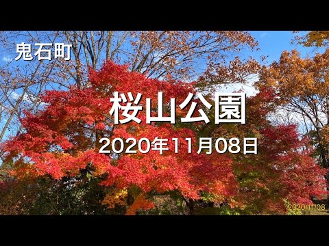 20201108桜山公園