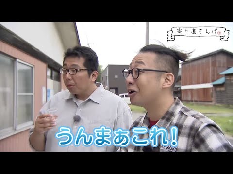 寄り道さんぽ【坂井町　坂井市役所→ハピラインふくい丸岡駅】