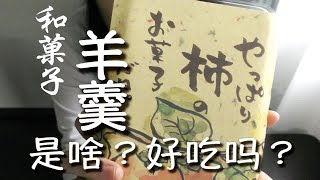 (十w十)的日本留学 | 试吃日本传统点心羊羹-4种对比-