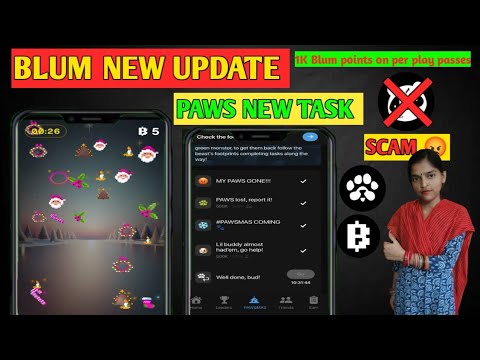 Blum new update | Panda scam | Paws new task | Panda new update |