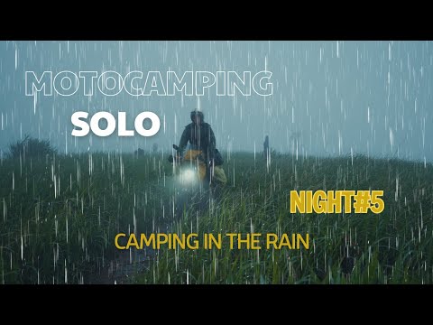 Solo Moto Camping/ Camping With Cat/ Camping In The Rain Eps.5