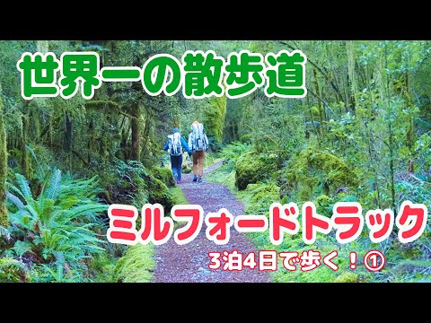 【世界一の散歩道①】憧れのミルフォードトラックを3泊4日で歩いてきた！