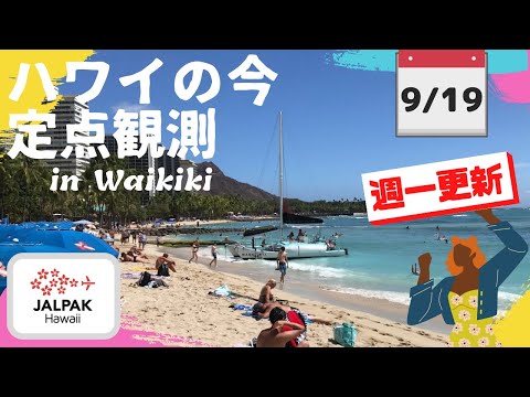 【ハワイの今】ワイキキ定点観測  2023年9月19日