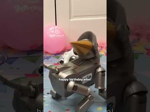 Happy 25th anniversary to aibo