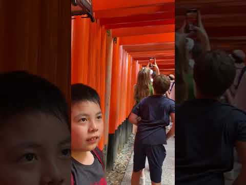 京都伏見稻荷神社之千本鳥居，是電影藝妓回憶錄中，年輕的千代奔跑的地方。