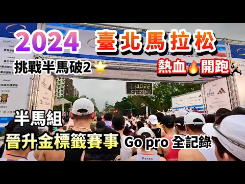 首屆金標籤【2024台北馬拉松】 賽事紀錄｜低溫能否破PB｜挑戰半馬破2｜2.8萬跑者｜從心定義｜全馬、半馬 、路跑｜期末考⭐️Taipei Marathon ｜台北市政府-臺北田徑場｜備戰渣打馬拉松