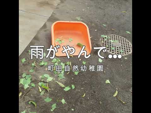 町田自然幼稚園『#雨 がやんで…』