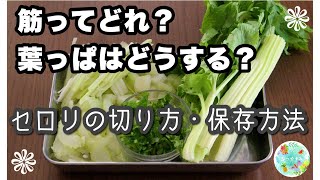 【初心者向け】料理のプロが教える！セロリの切り方・筋取りのコツ・保存方法／葉っぱ活用術